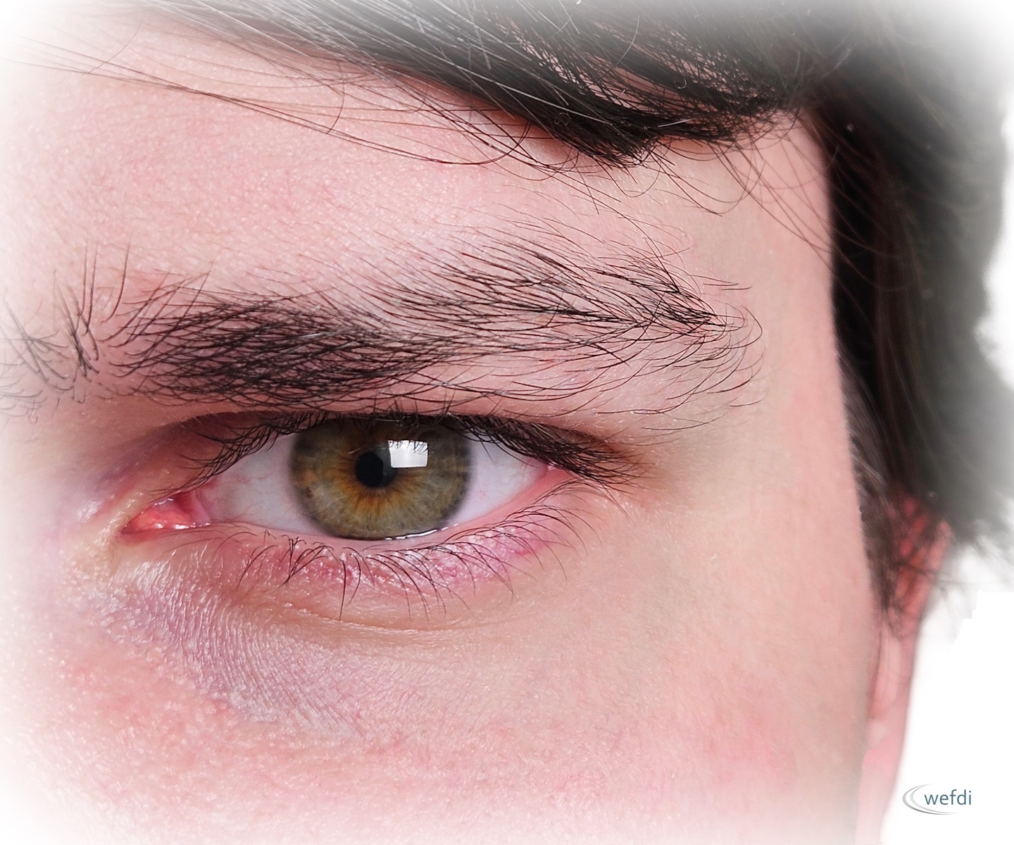 ueber wefdi unsere vision 1 1 - wefdi